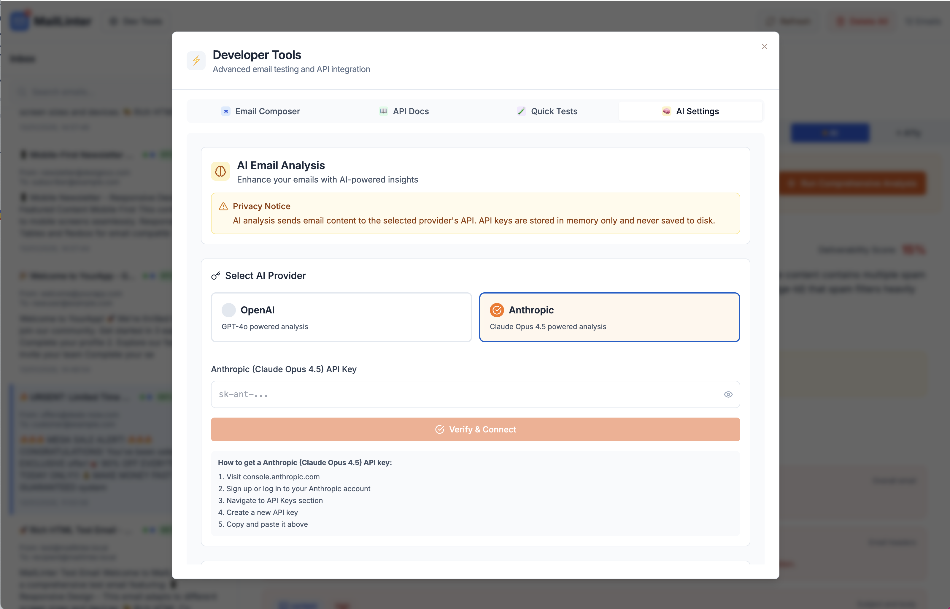 AI Settings configuration in MailLinter showing provider selection and API key input